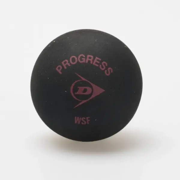 Dunlop Progress 12 Balls - Image 2