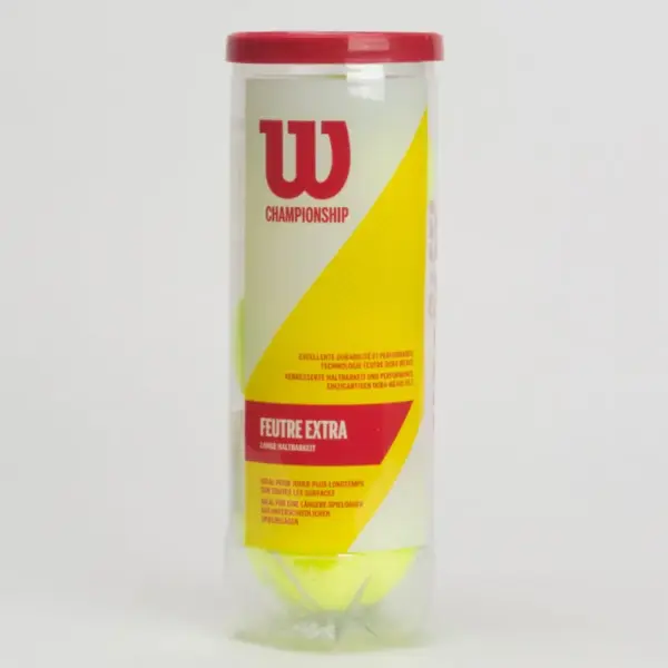 Wilson Championship Extra Duty 24 Cans - Image 2